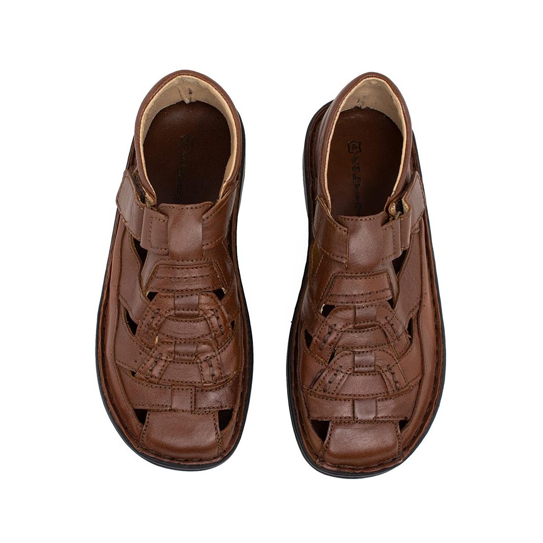 IMG_6894-1_IMG_6983-1