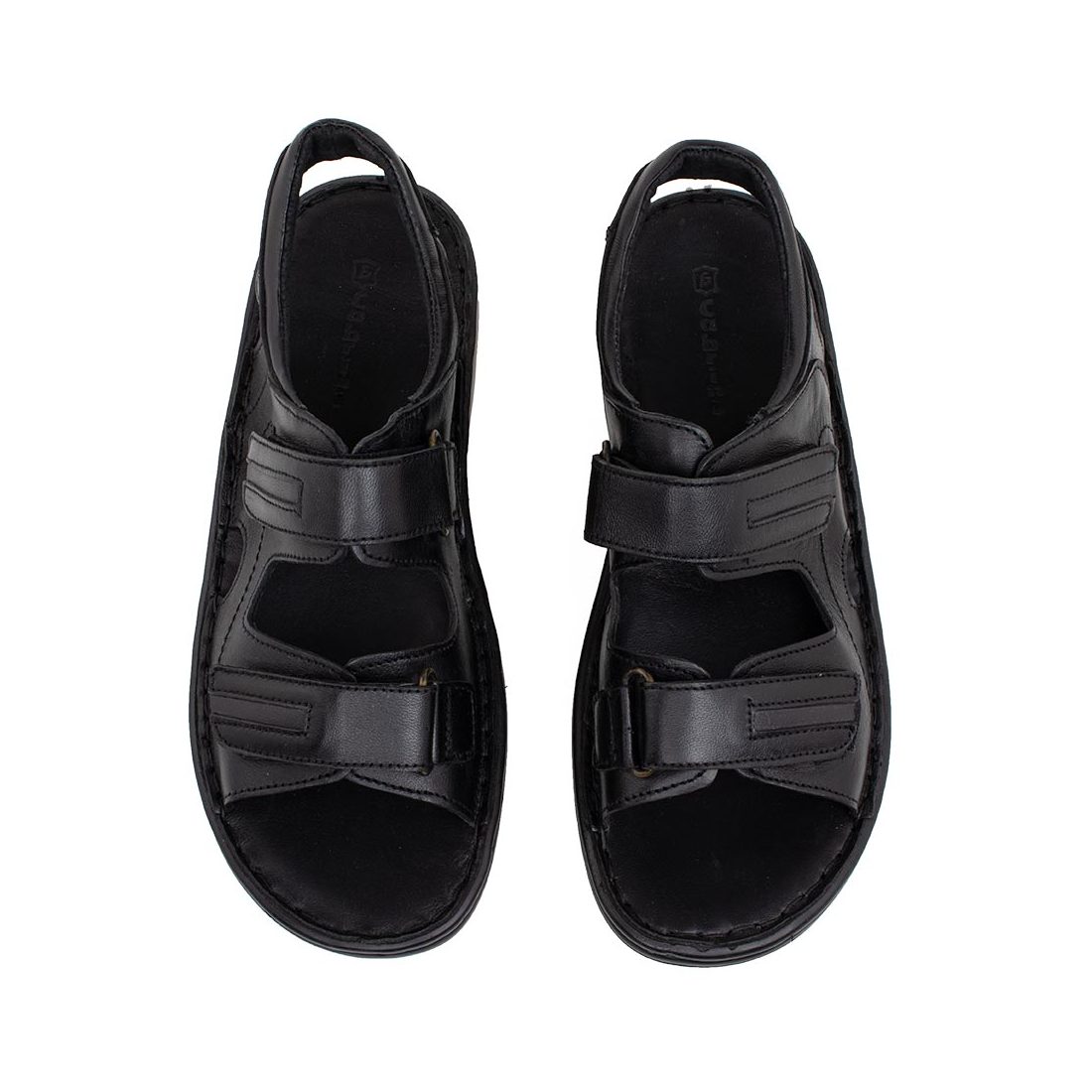 IMG_6898-1_IMG_6979-1