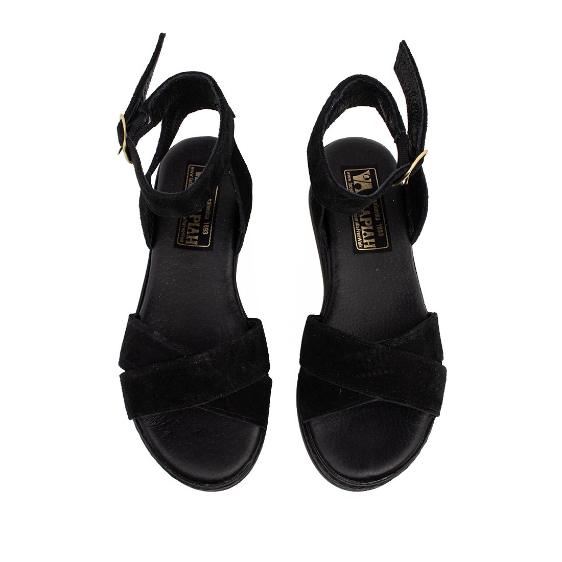 IMG_6387-1_IMG_6443-1